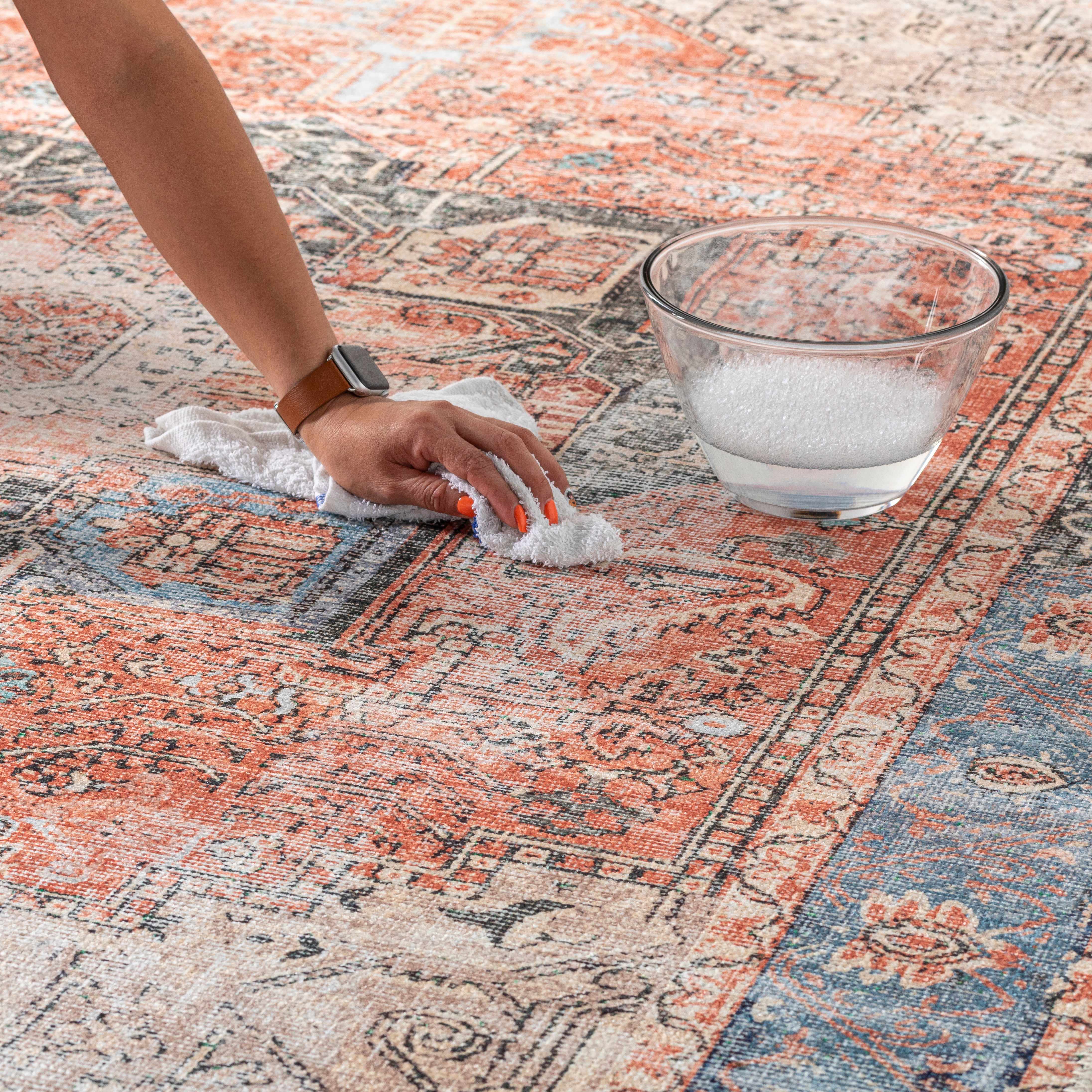 Rosman Distressed Washable Rug Area Rug