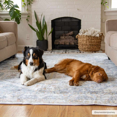 Afya Flat Pile Washable Rug