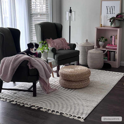 Dauin 3D Rainbow Area Rug with Tassels