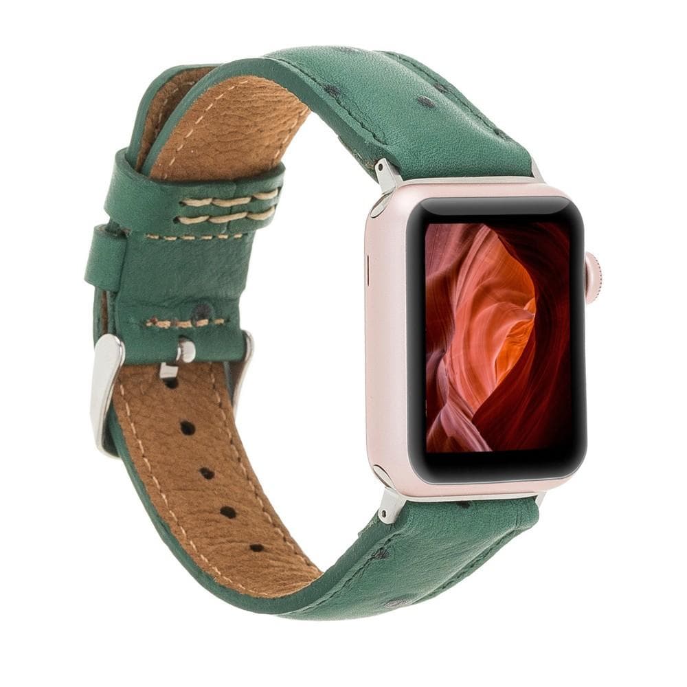 Classic Leather Apple Watch Band - TORONATA - color_ Green 40 41 42mm