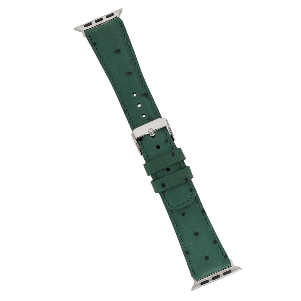 Classic Leather Apple Watch Band - TORONATA - color_