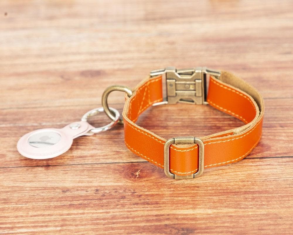 Scobby Leather Dog Collar - TORONATA - color_