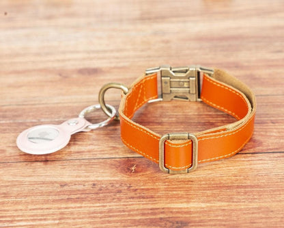 Scobby Leather Dog Collar - TORONATA - color_