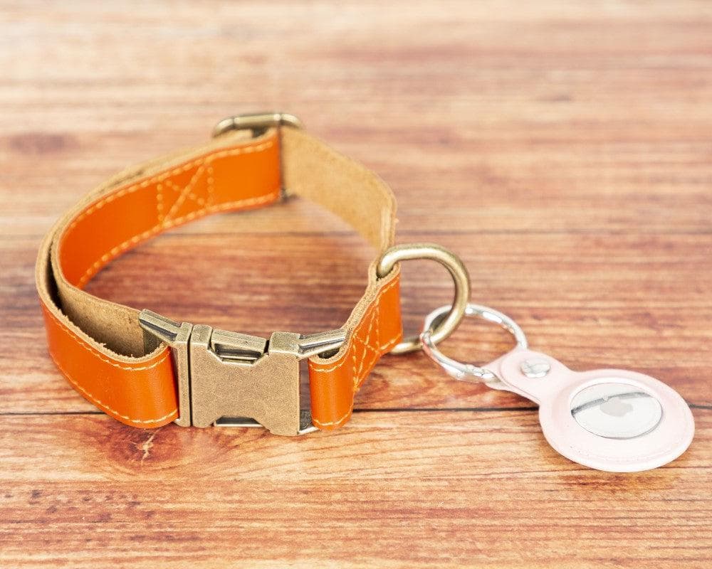 Scobby Leather Dog Collar - TORONATA - color_ Coral