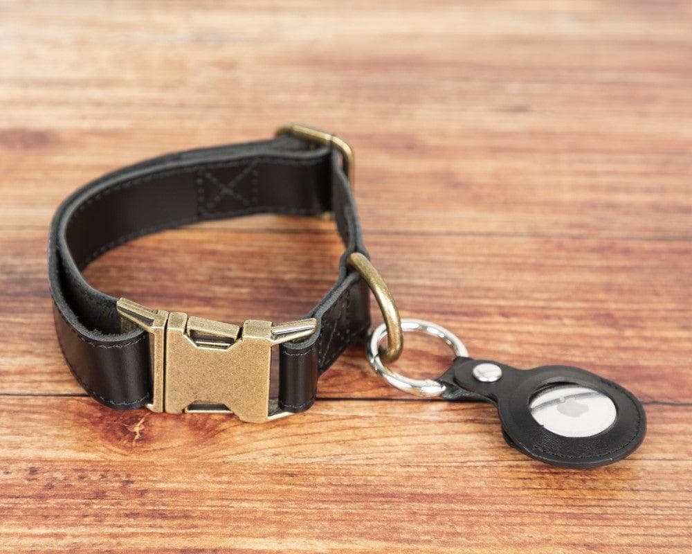 Scobby Leather Dog Collar - TORONATA - color_ Black
