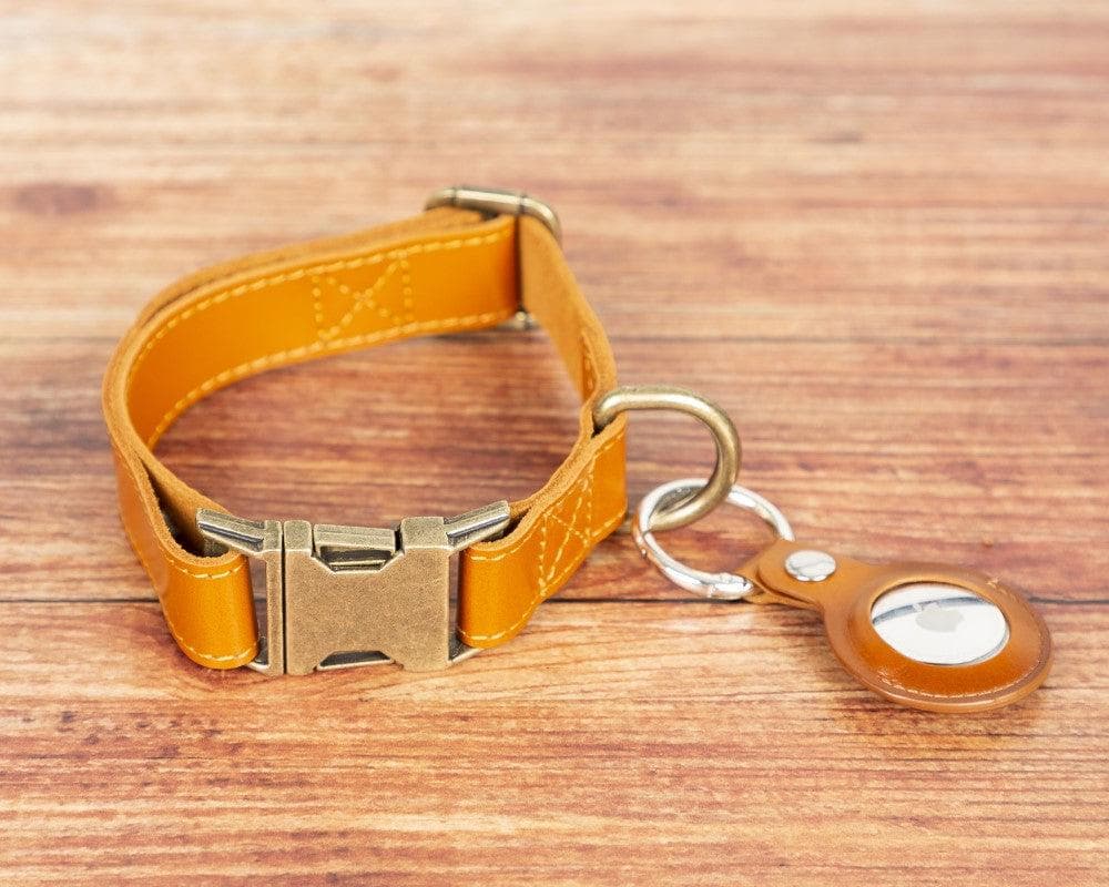 Scobby Leather Dog Collar - TORONATA - color_ Tan