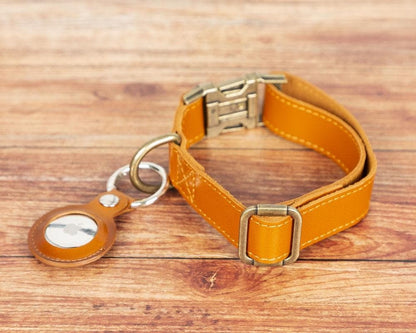 Scobby Leather Dog Collar - TORONATA - color_