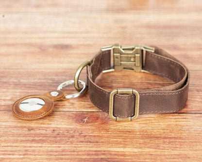 Scobby Leather Dog Collar - TORONATA - color_