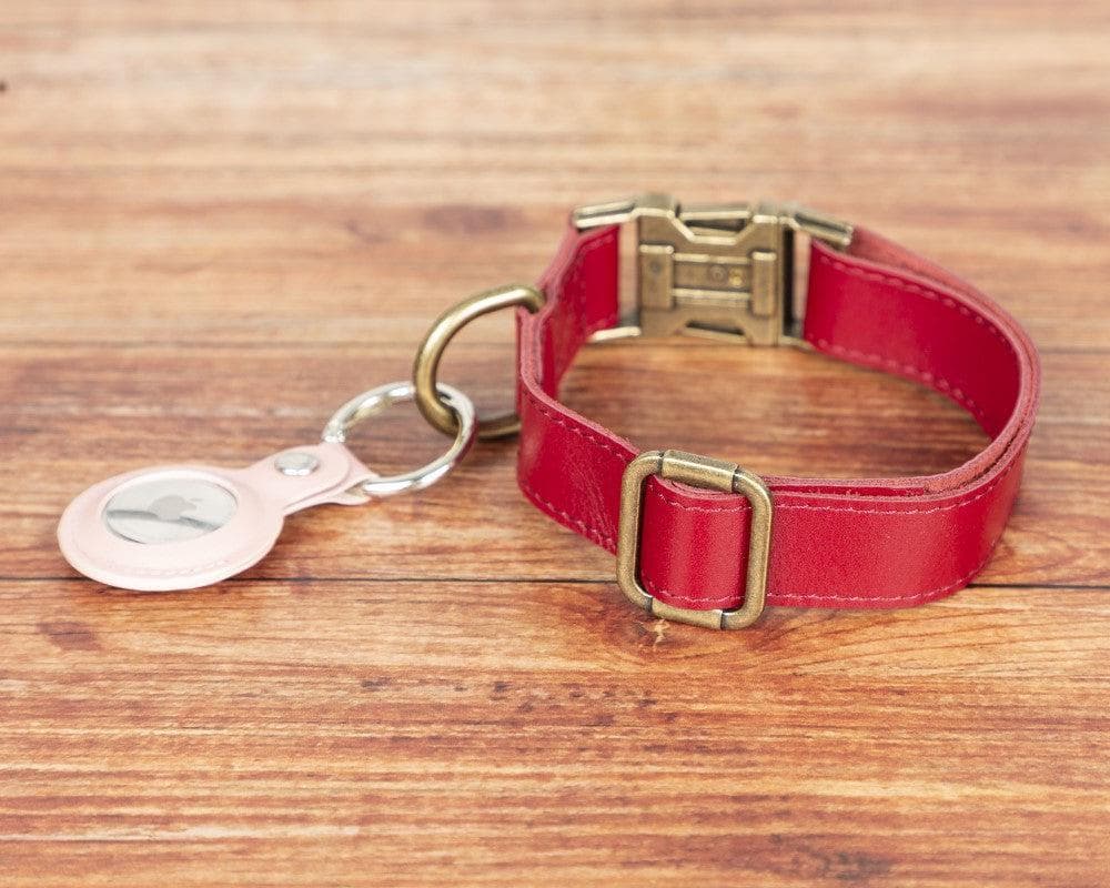 Scobby Leather Dog Collar - TORONATA - color_