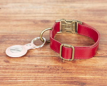 Scobby Leather Dog Collar - TORONATA - color_