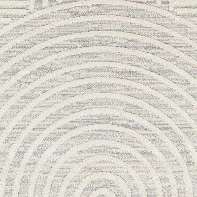 Dauin 3D Rainbow Area Rug with Tassels