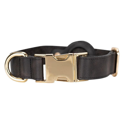 Pet Leather Collar with Apple AirTag Compatible Slot - TORONATA - color_