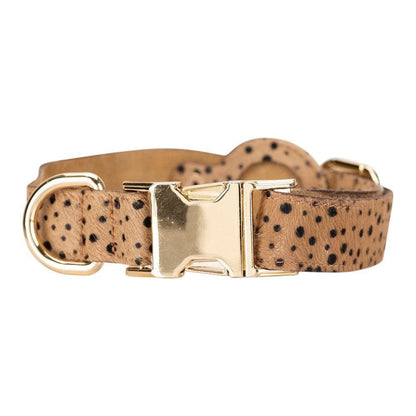 Pet Leather Collar with Apple AirTag Compatible Slot - TORONATA - color_