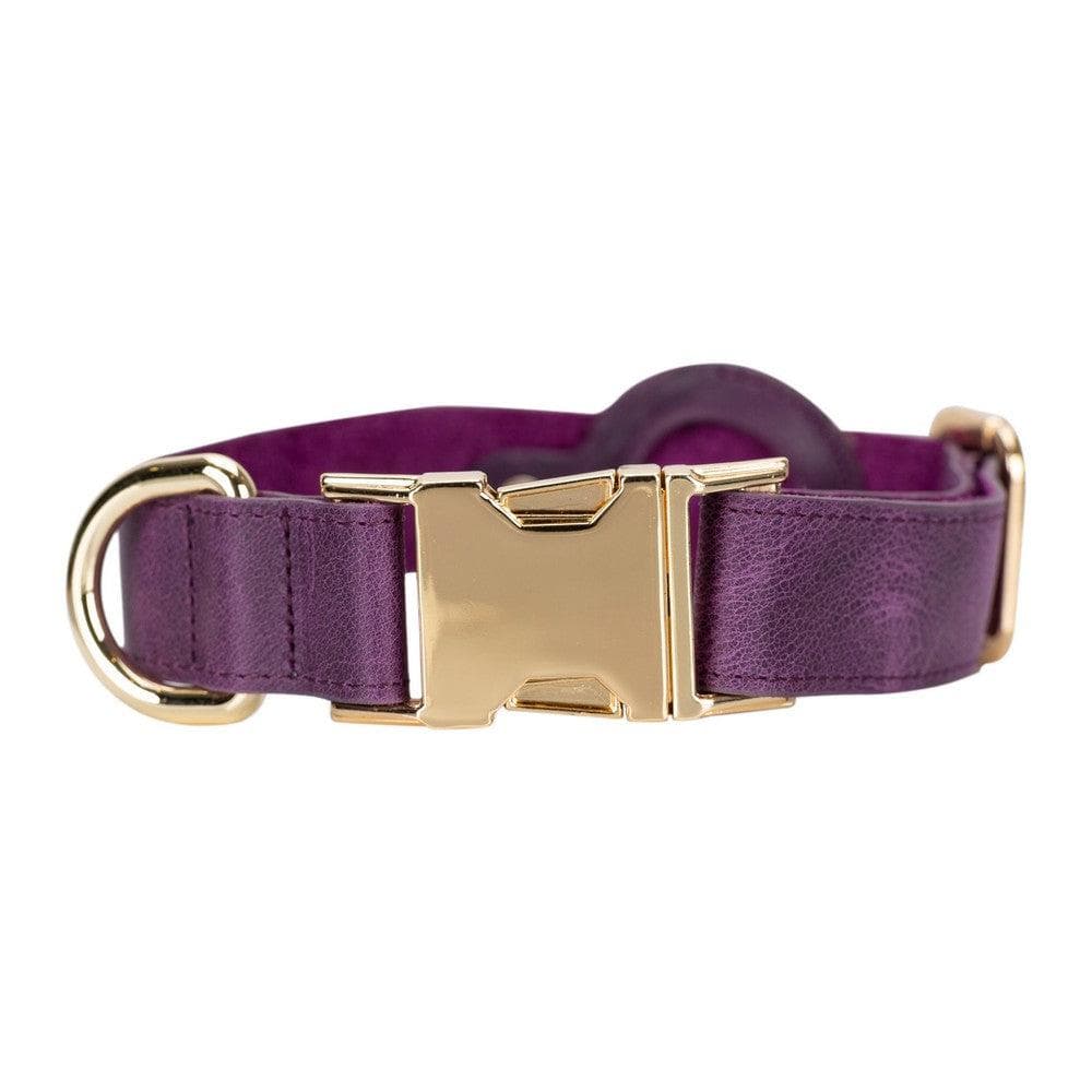 Pet Leather Collar with Apple AirTag Compatible Slot - TORONATA - color_