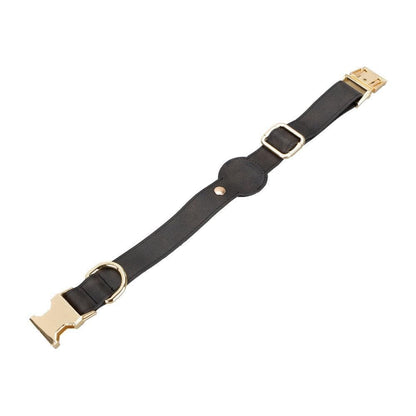Pet Leather Collar with Apple AirTag Compatible Slot - TORONATA - color_ Charcoal
