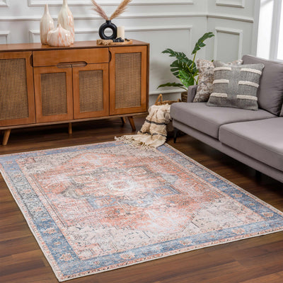 Rosman Distressed Washable Rug Area Rug
