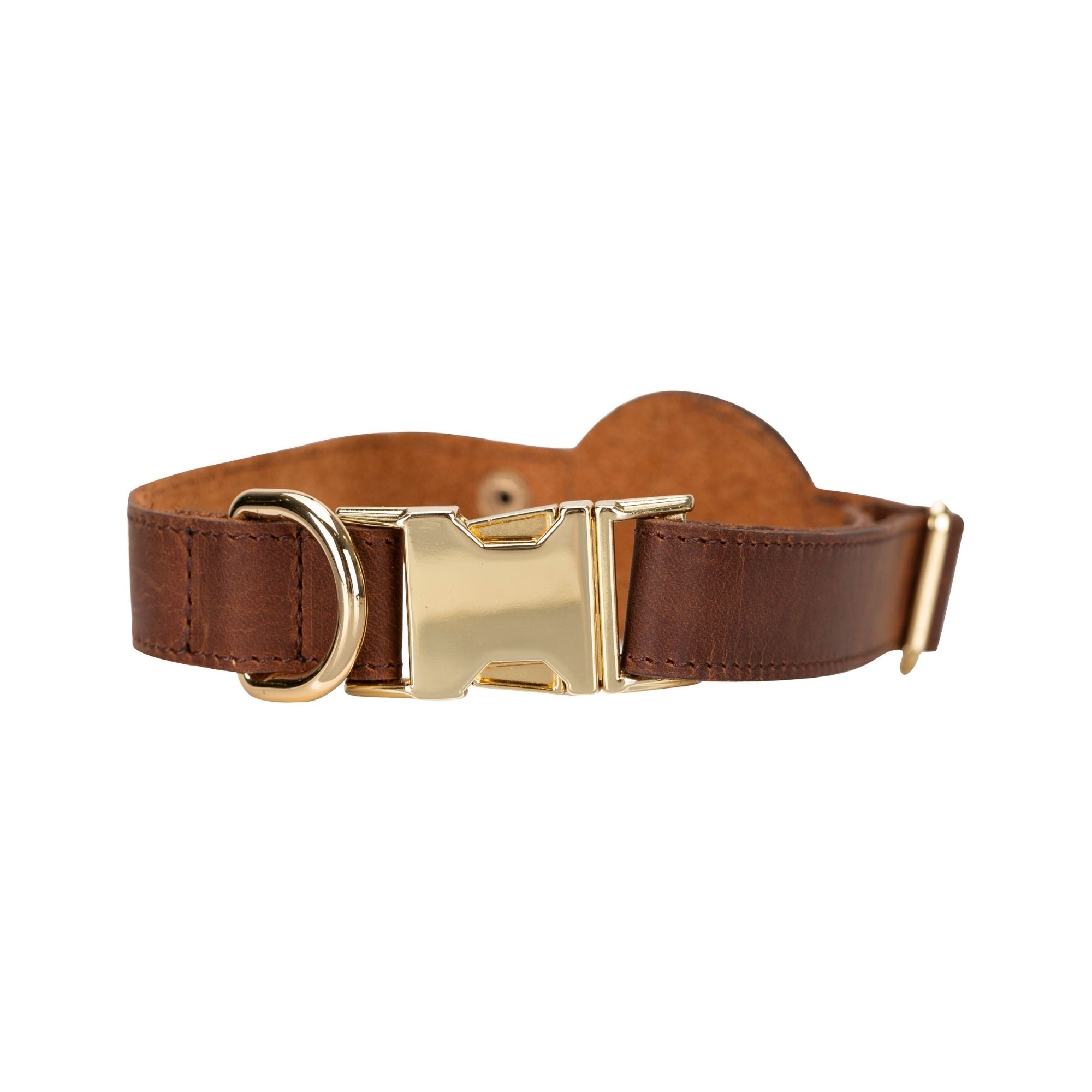 golden leather dog collars with apple airtag slot - toronata - 